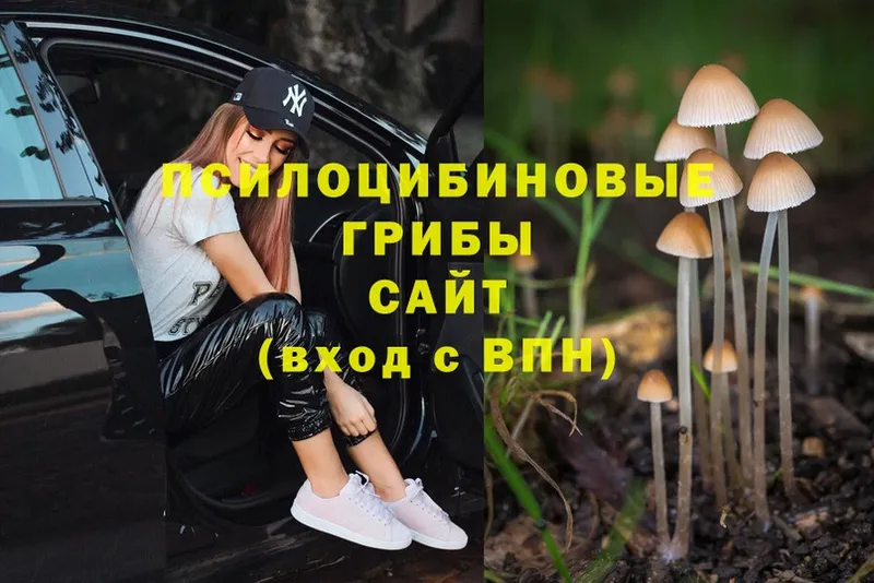 купить   MEGA ссылки  Псилоцибиновые грибы Magic Shrooms  Данилов 